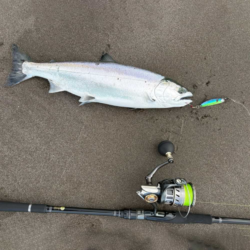 JACKALL Cutbacker North Special 28g