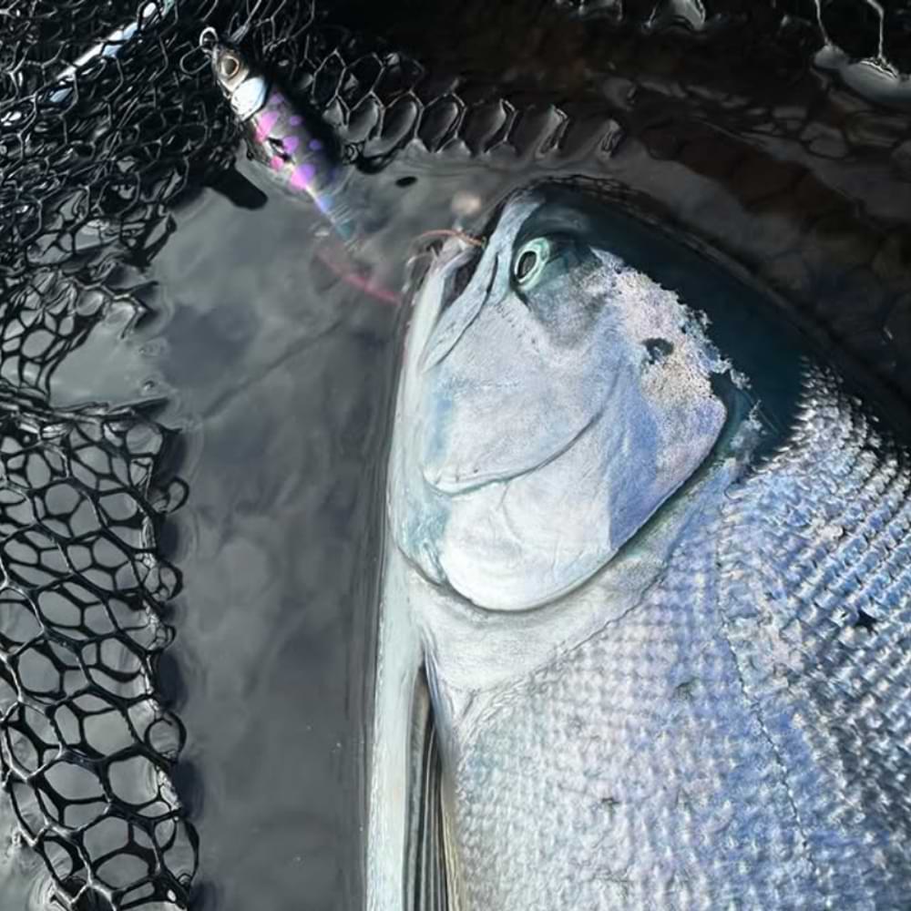 JACKALL Cutbacker North Special 28g