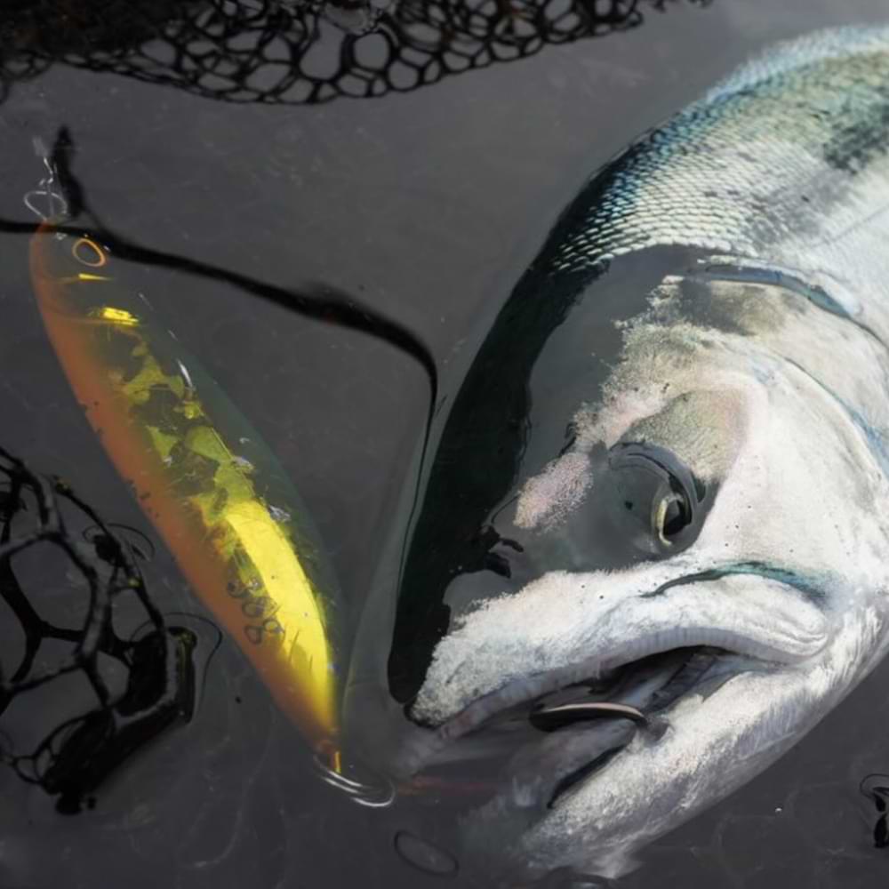 JACKALL Cutbacker North Special 28g