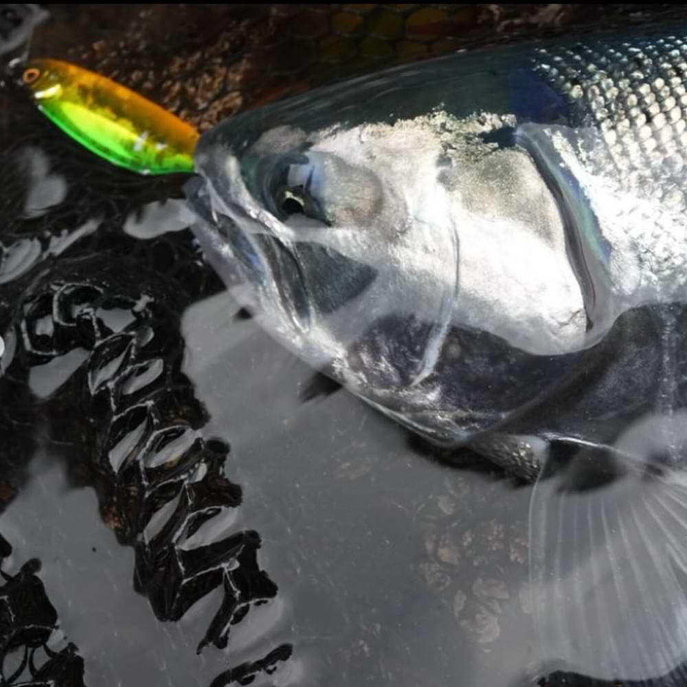 JACKALL Cutbacker North Special 28g