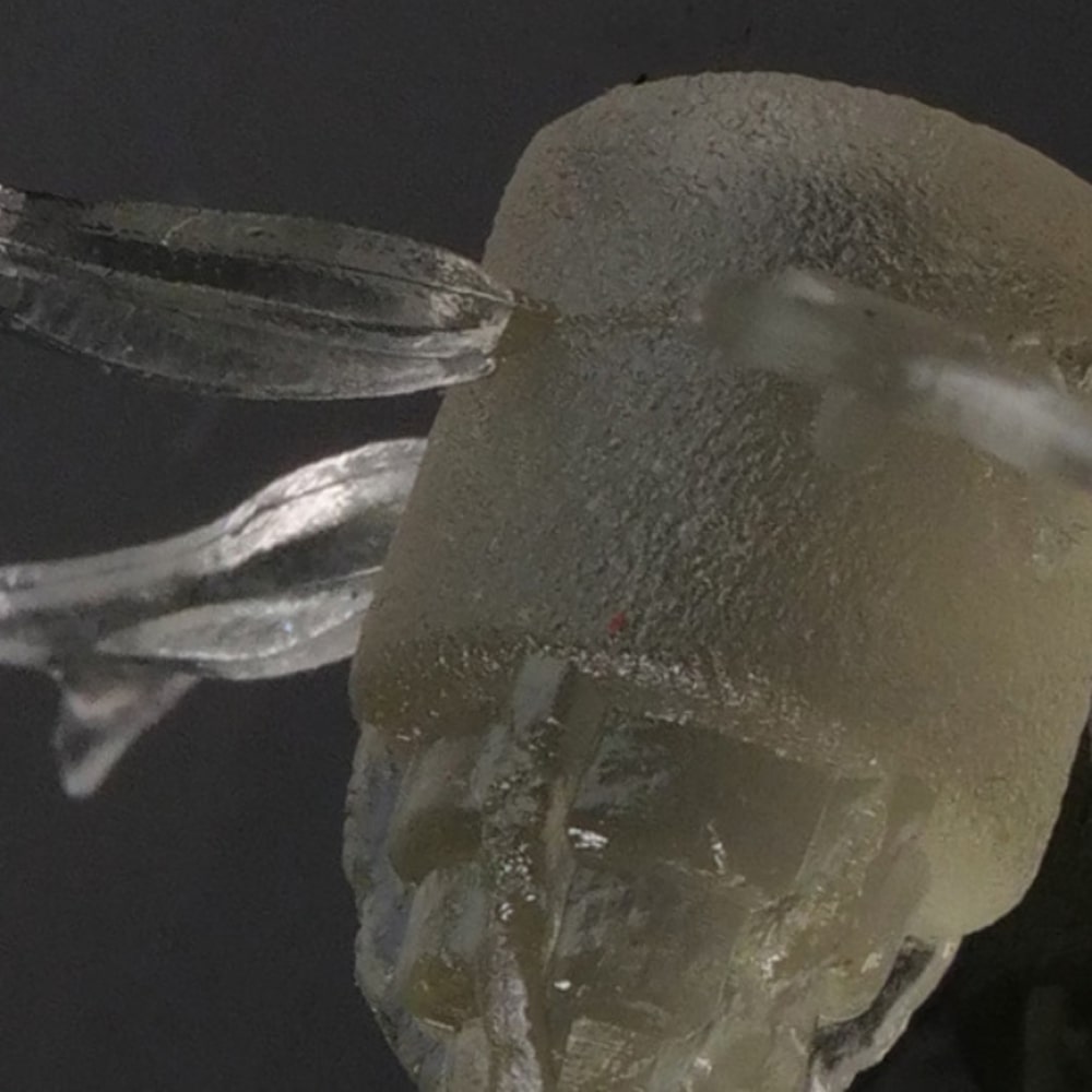 JACKALL Jimmy Henge 42mm 1.7g