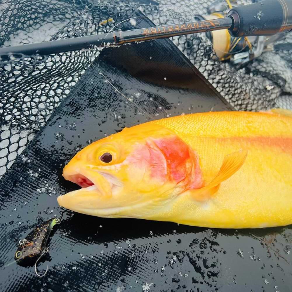 JACKALL T-CONNECTION Another AT2-S61L+E 186cm 0.4-3.5g