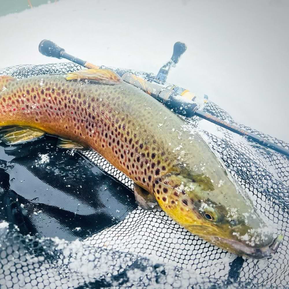 JACKALL T-CONNECTION Another AT2-S61L+E 186cm 0.4-3.5g