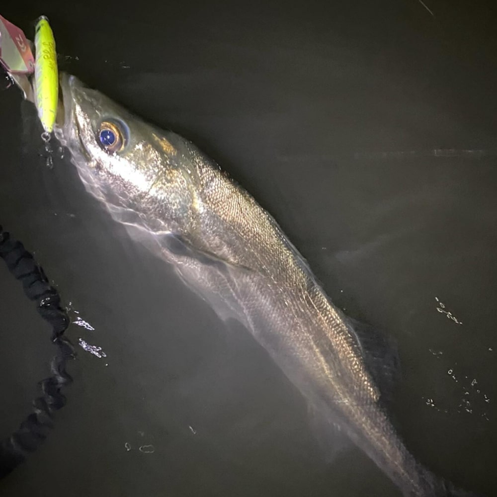 JACKALL Hagre 96F 96mm 12g Floating