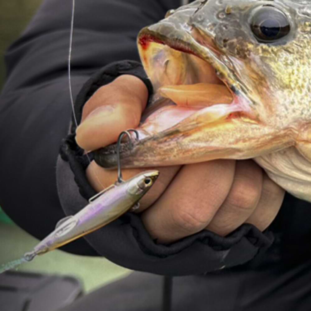 JACKALL Live Darter 52mm 4.5g Sinking