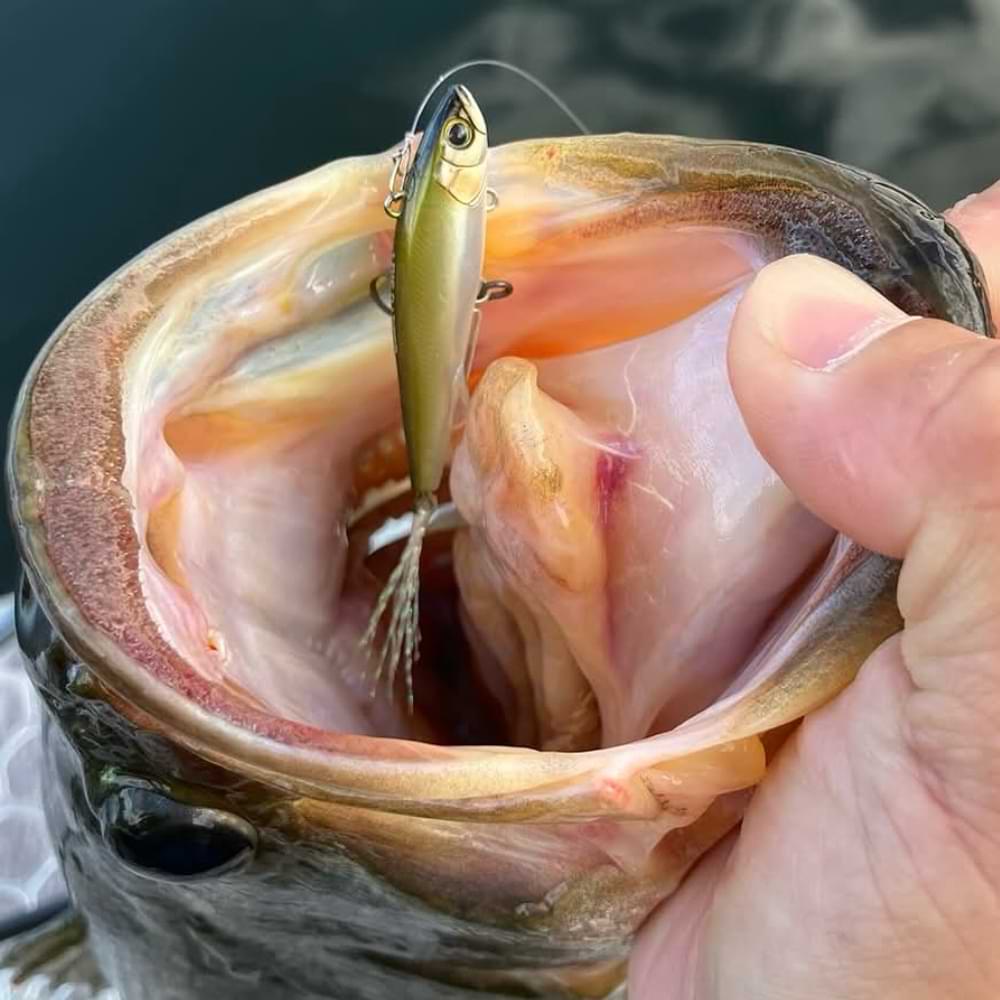 JACKALL Live Darter 52mm 4.5g Sinking