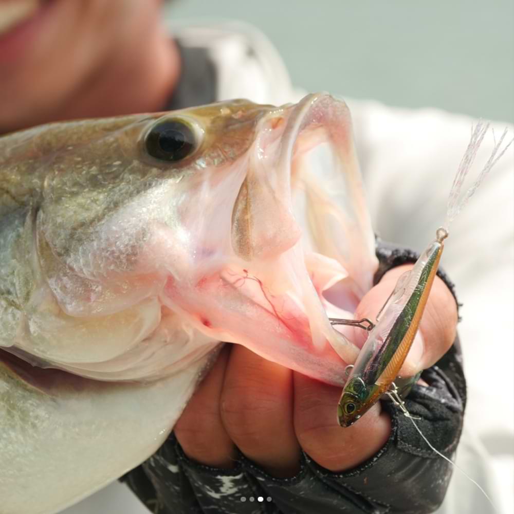 JACKALL Live Darter 52mm 4.5g Sinking