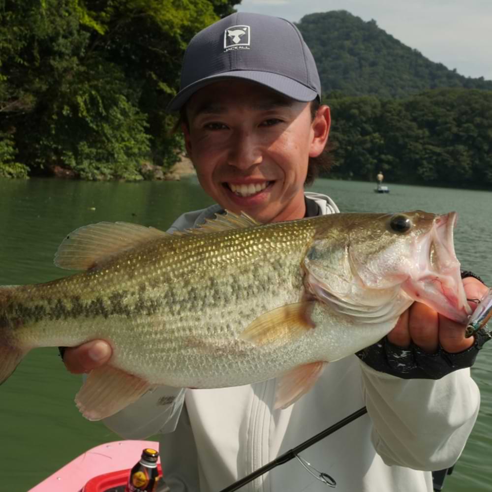 JACKALL Live Darter 52mm 4.5g Sinking