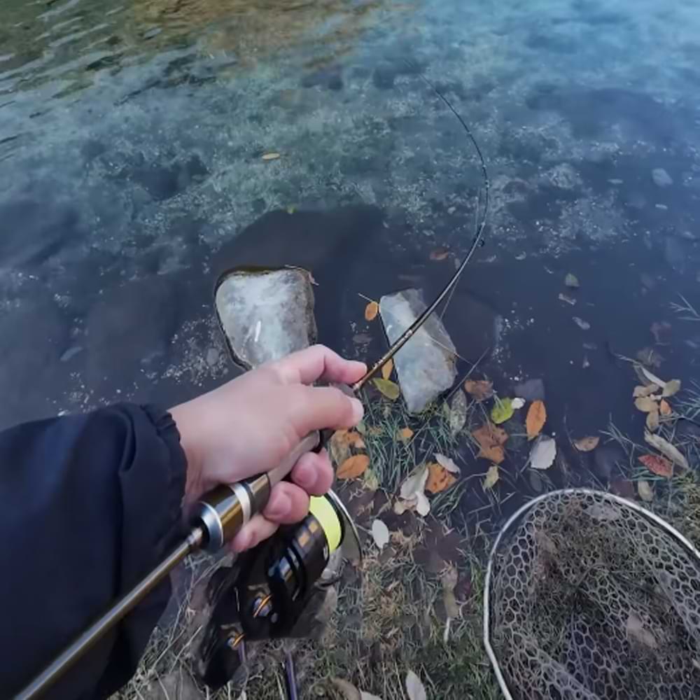 JACKALL 25 T-CONNECTION Comfy TCC-S60L 183cm 1.5-4g