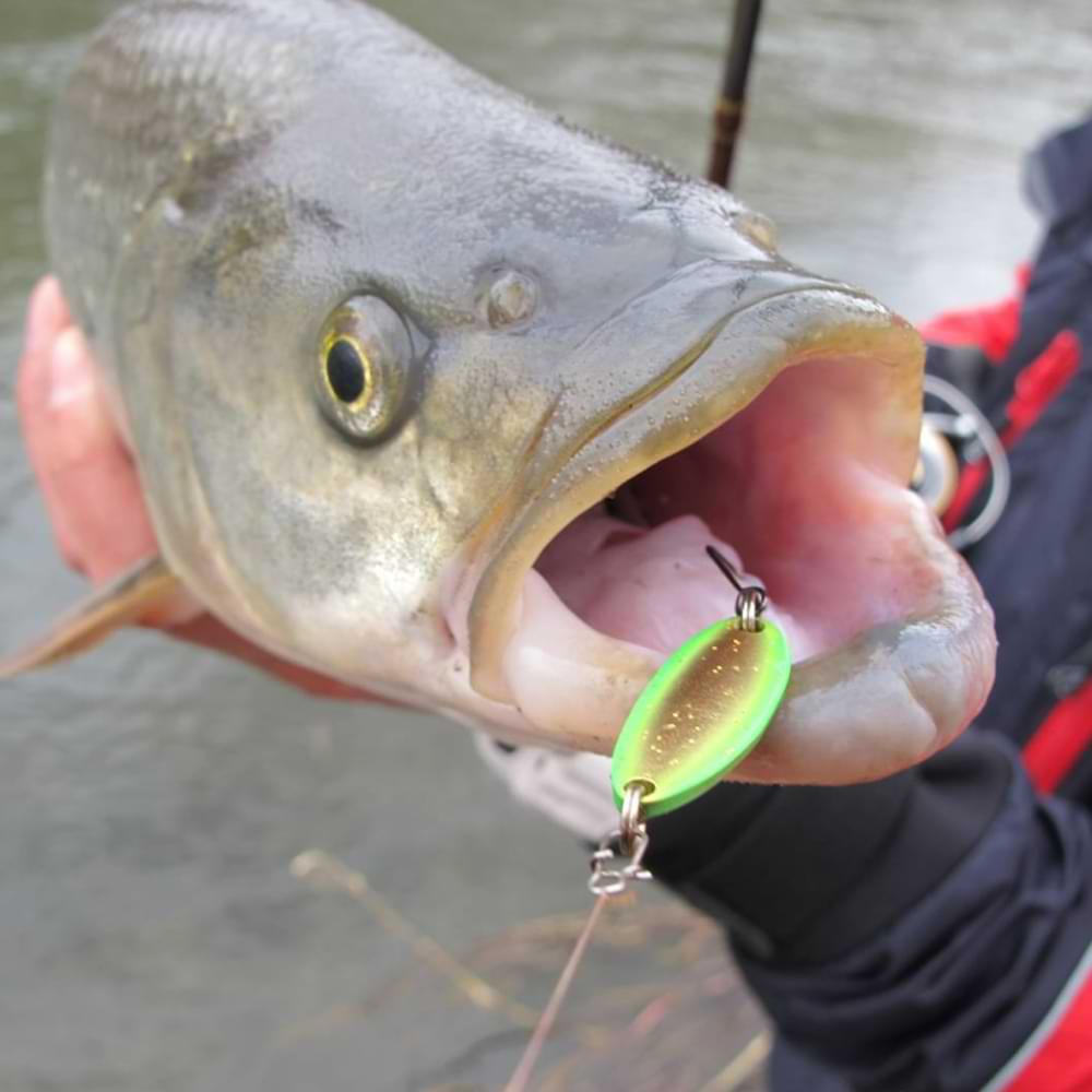 JACKALL Chibi Quattro Spoon 0.8g