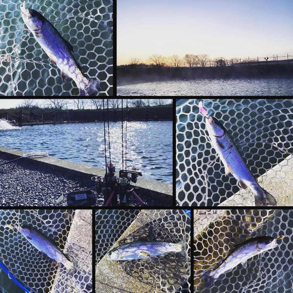 JACKALL Mitts SR-Dry 28mm 1.2g