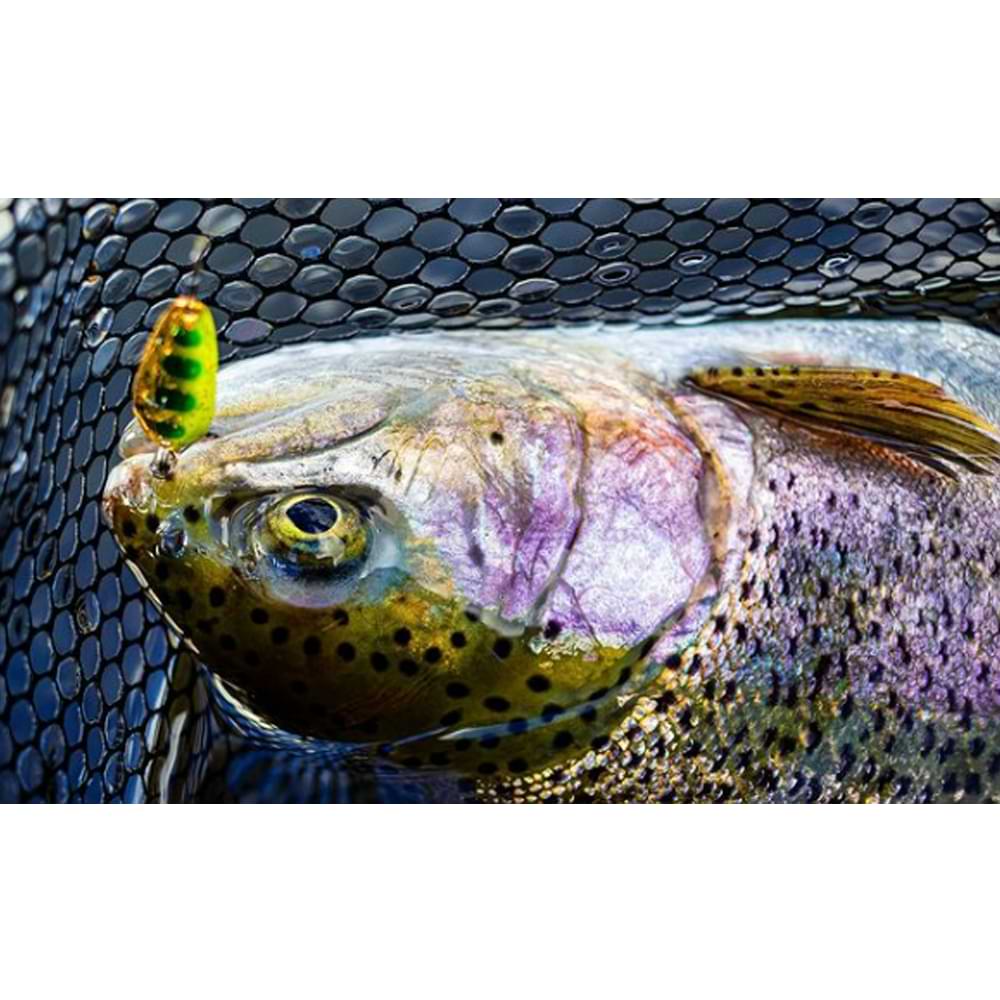 JACKALL Chibi Tearo 1.2g