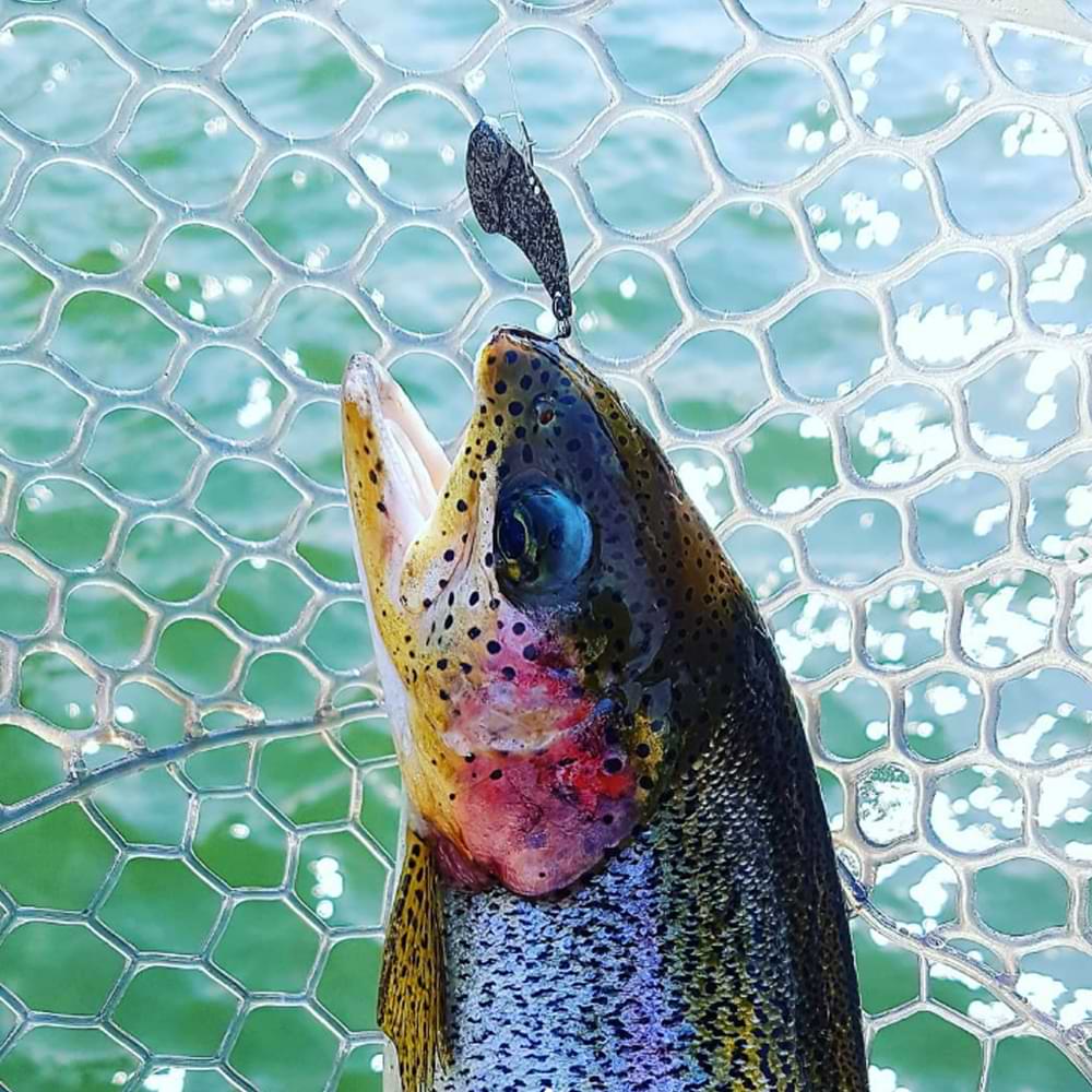 JACKALL KuroBall 26mm 2g