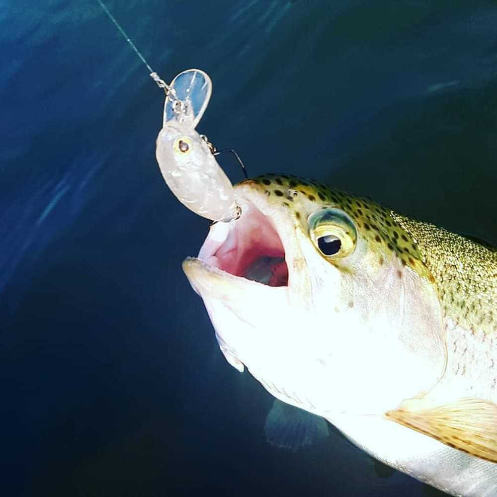 JACKALL Deka Mitts Dry with Rattles 33mm 2.3g