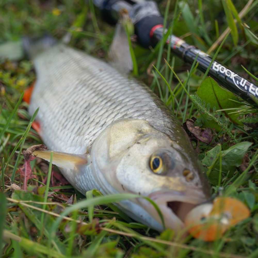 JACKALL PaniCra МR 32mm 3.3g