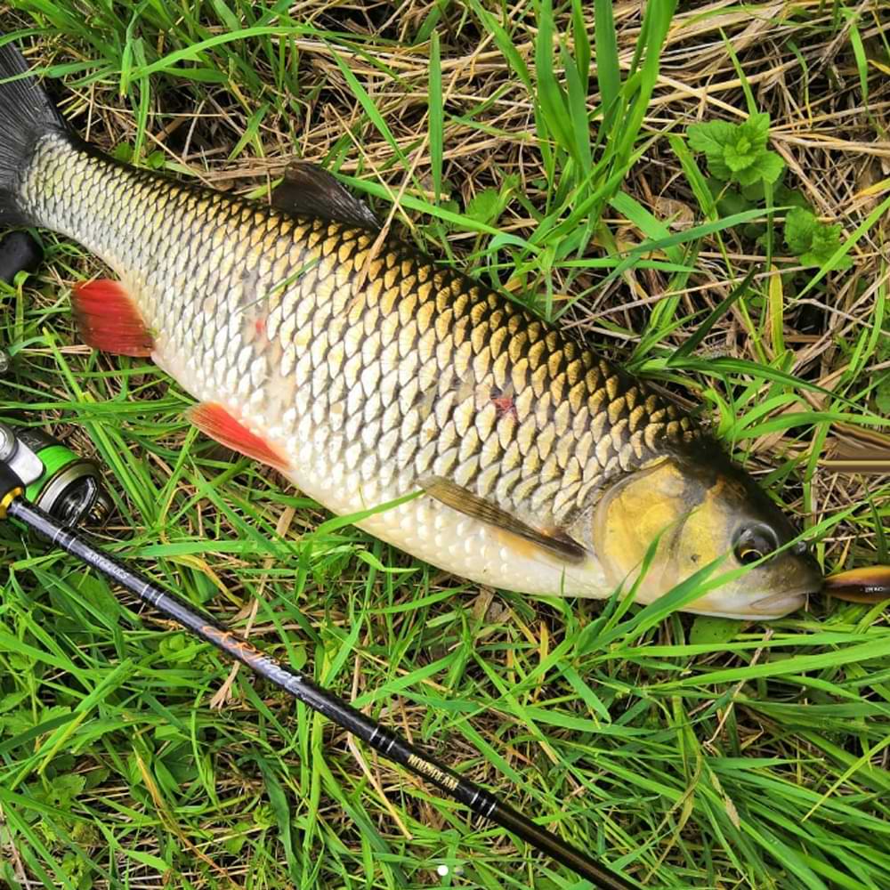 JACKALL PaniCra МR 32mm 3.3g