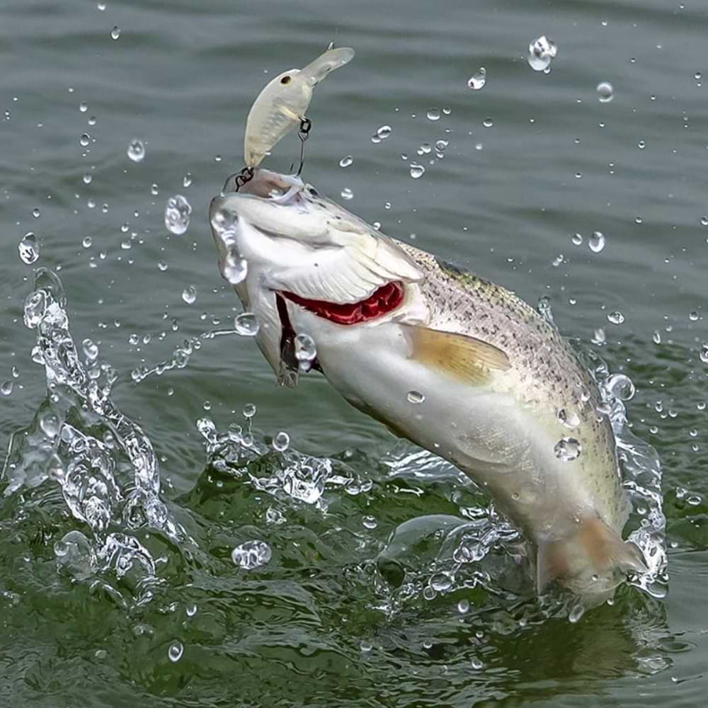 JACKALL PaniCra МR 32mm 3.3g