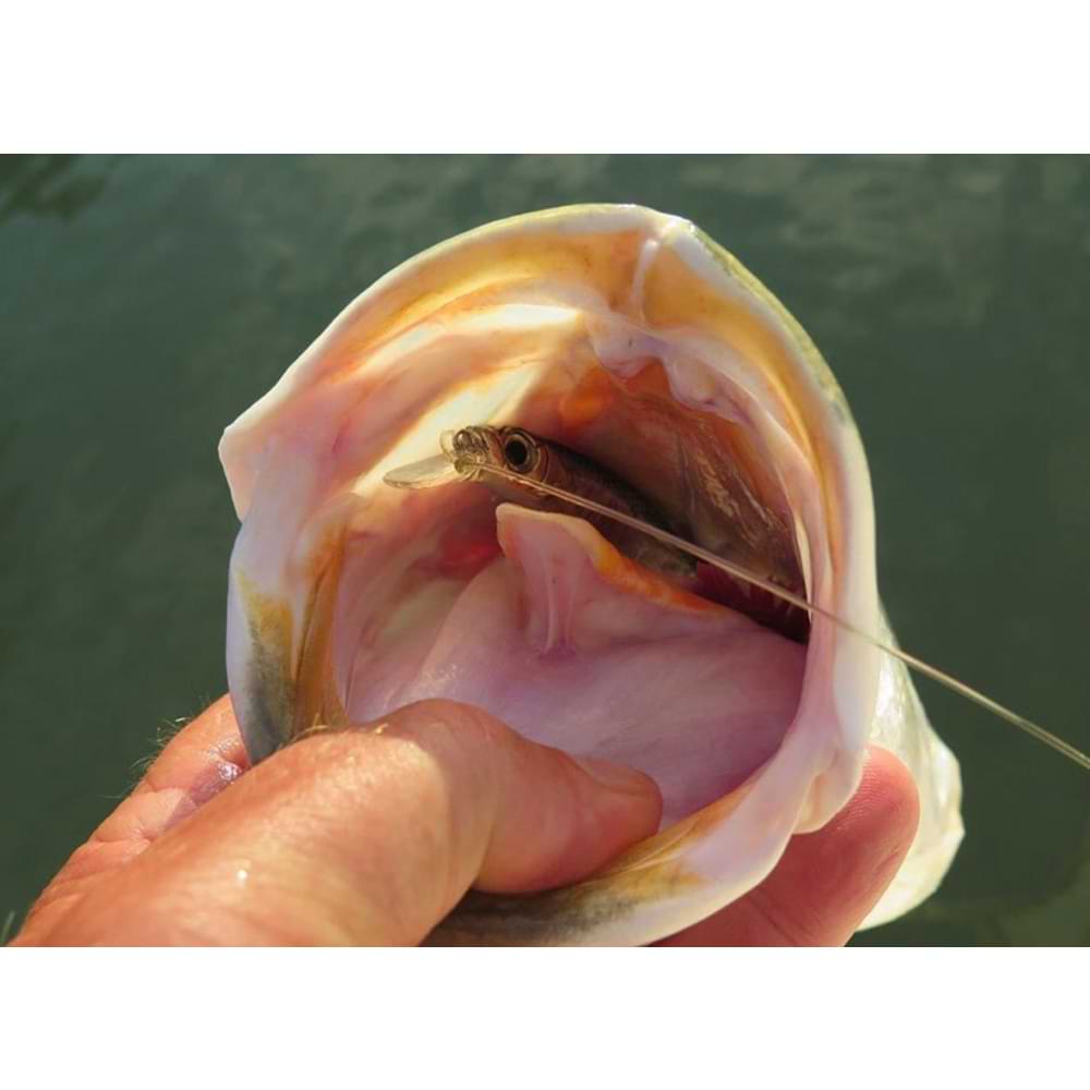 JACKSON Artist FR105 105mm 15g Sinking