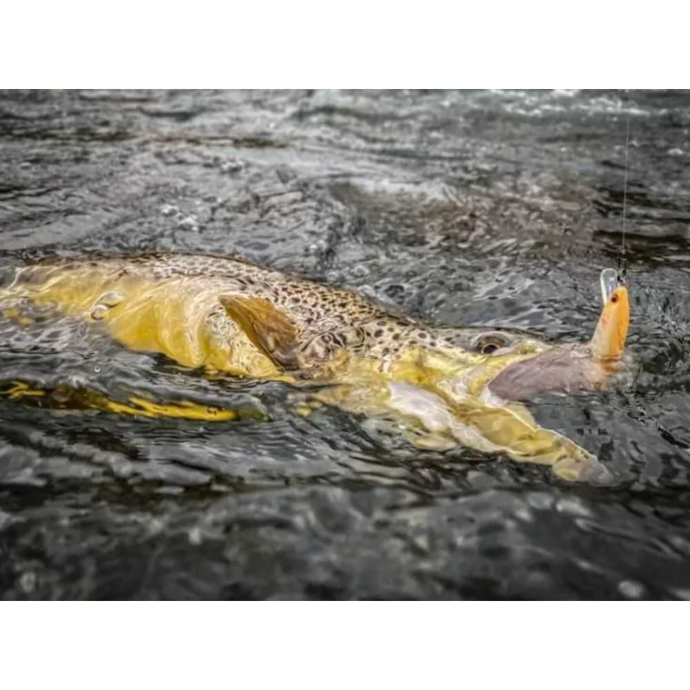 JACKSON Trout Tune 55S 55mm 3.5g Sinking