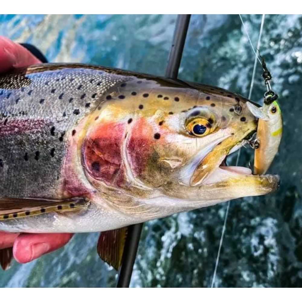 JACKSON Trout Tune 55S 55mm 3.5g Sinking