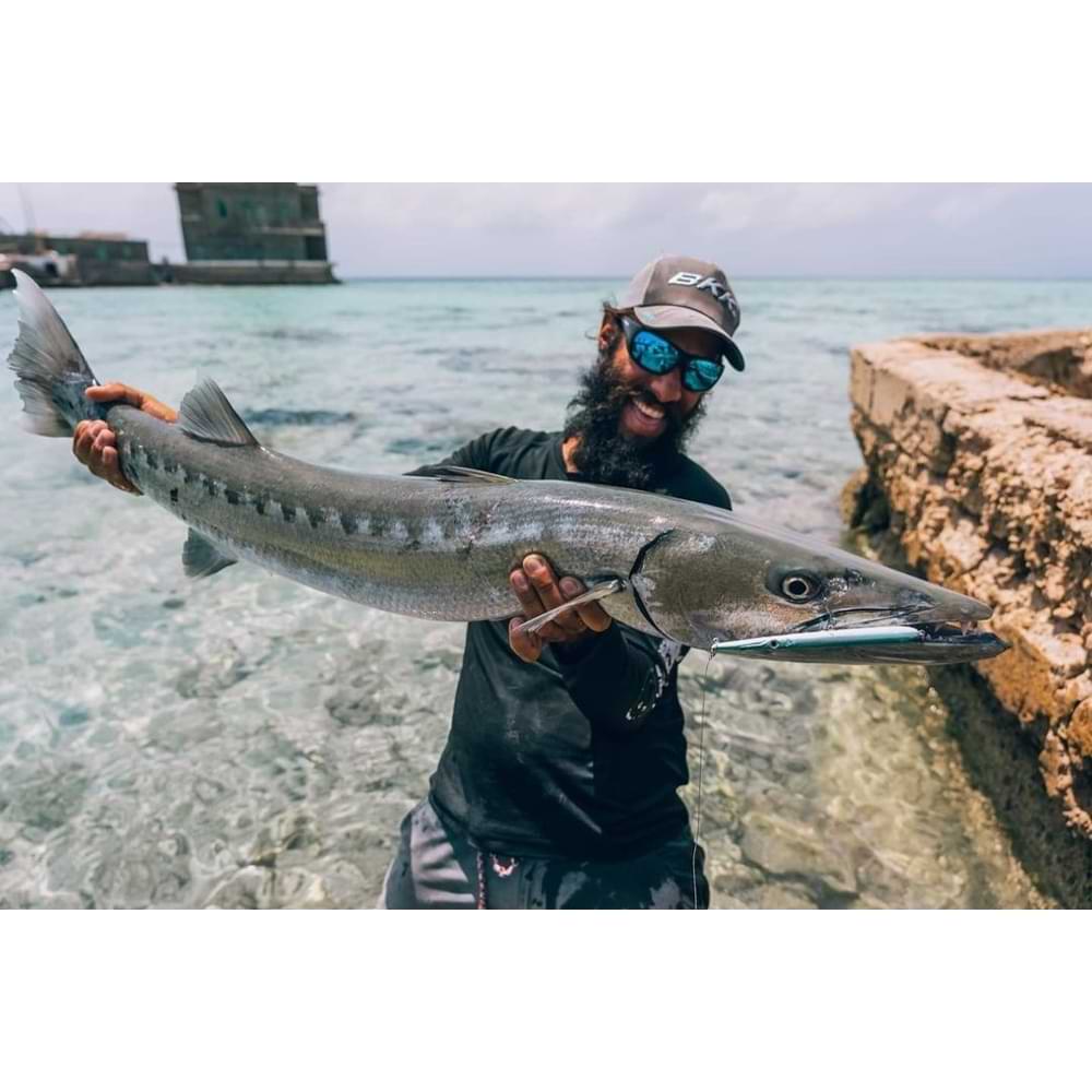 JACK FIN Stylo 210mm 30gr F