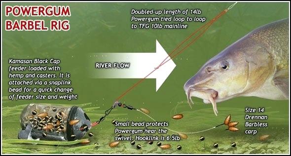 KAMASAN Black Cap Feeders - Large