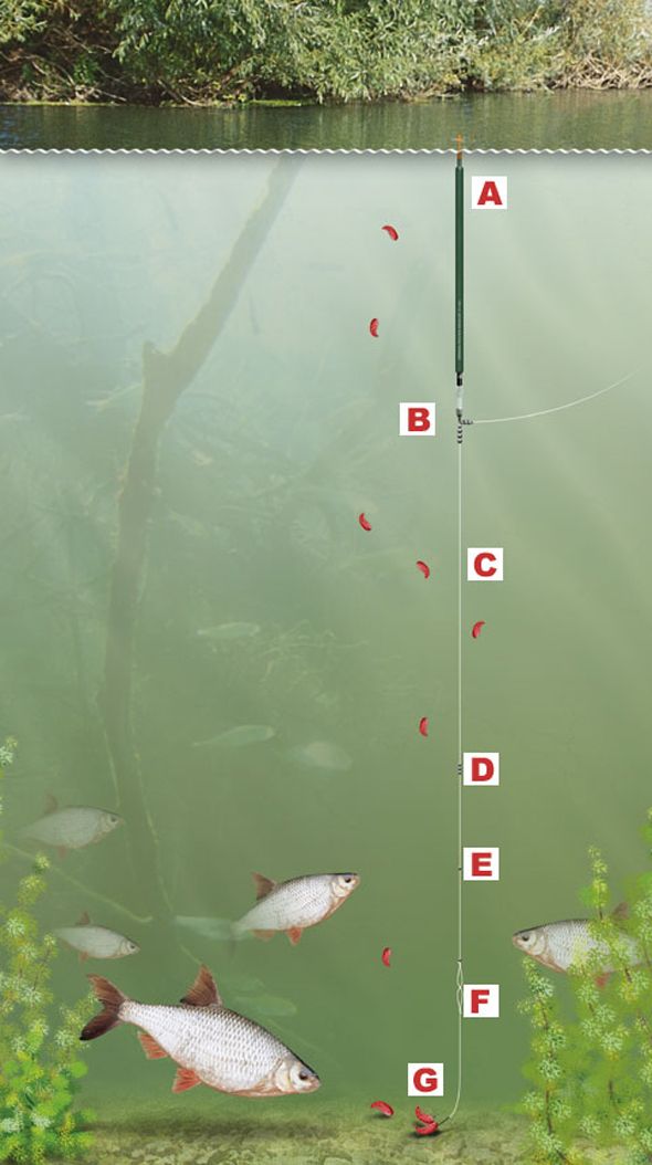 KAMASAN Peacock Waggler