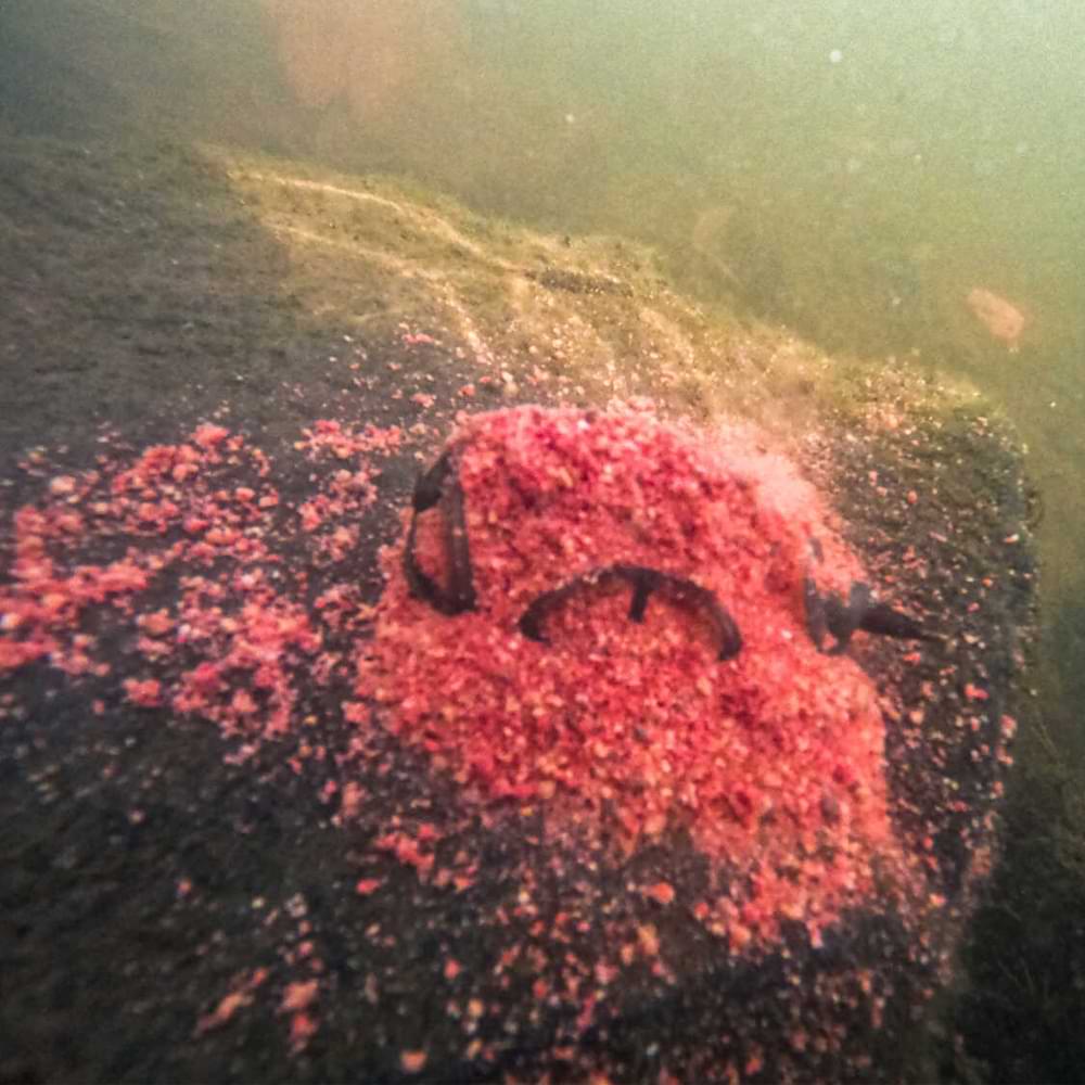 KORUM Camo River Method