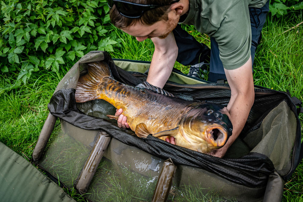 KORUM Compact Recovery Sling