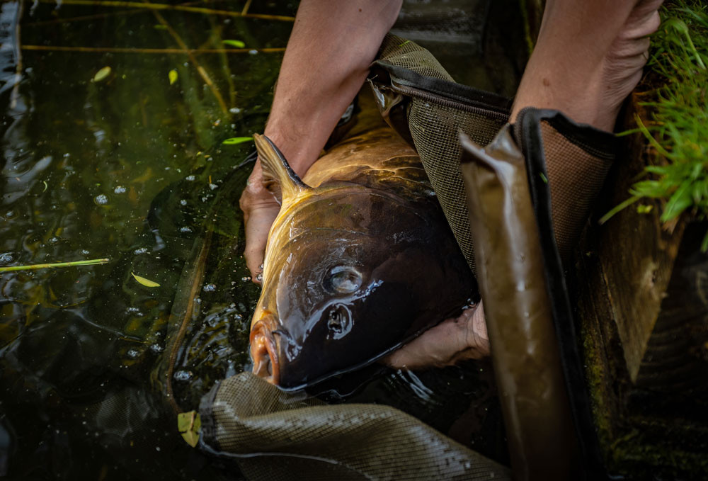 KORUM Compact Recovery Sling