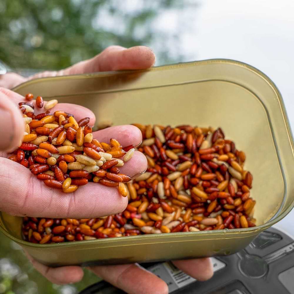 KORUM Bait Tub - 1Pt/0.6L