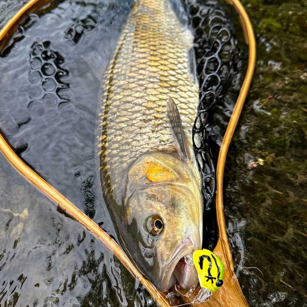 LAST CAST JaBug 26mm 3.5g Floating