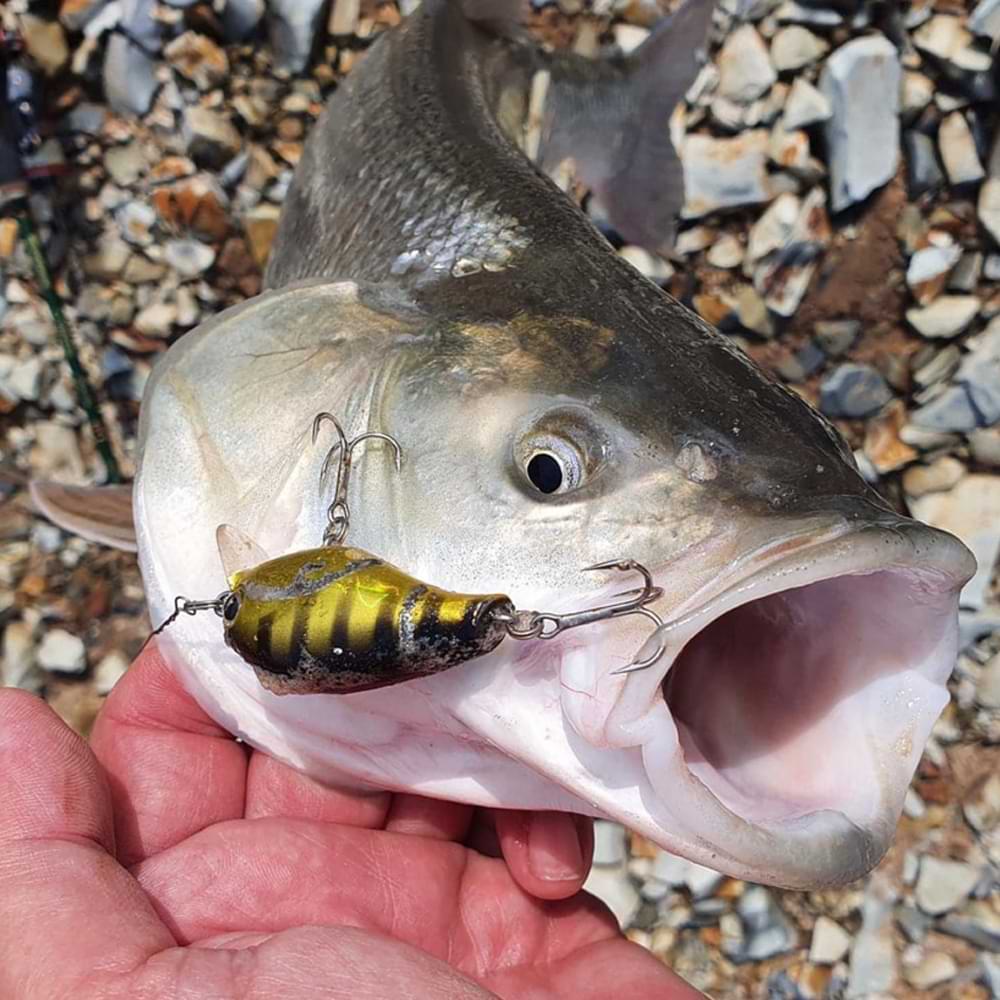 LUCKY CRAFT Clutch SR 4.5cm 6.6g Floating