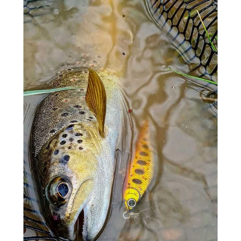 LUCKY CRAFT Pointer 48 SP 48mm 2.6g Suspending