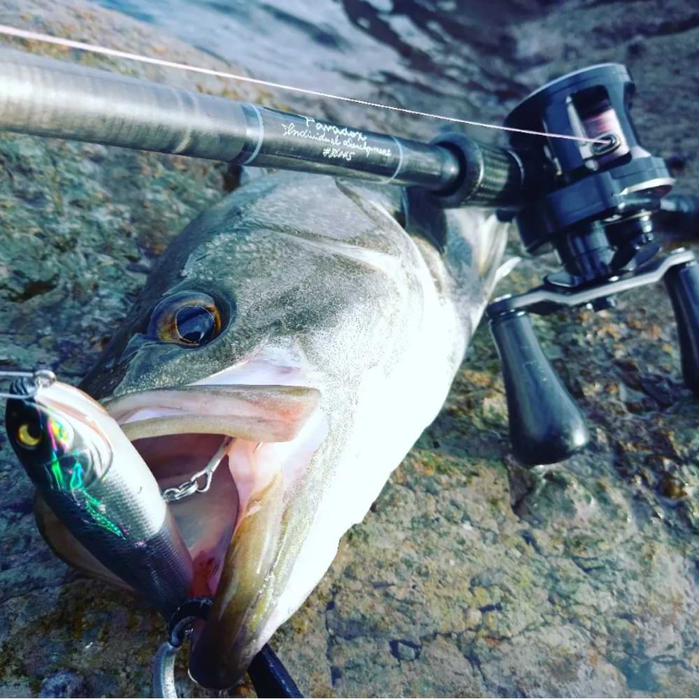 MEGABASS Giant Dog-X SW 98mm 16.5g Floating