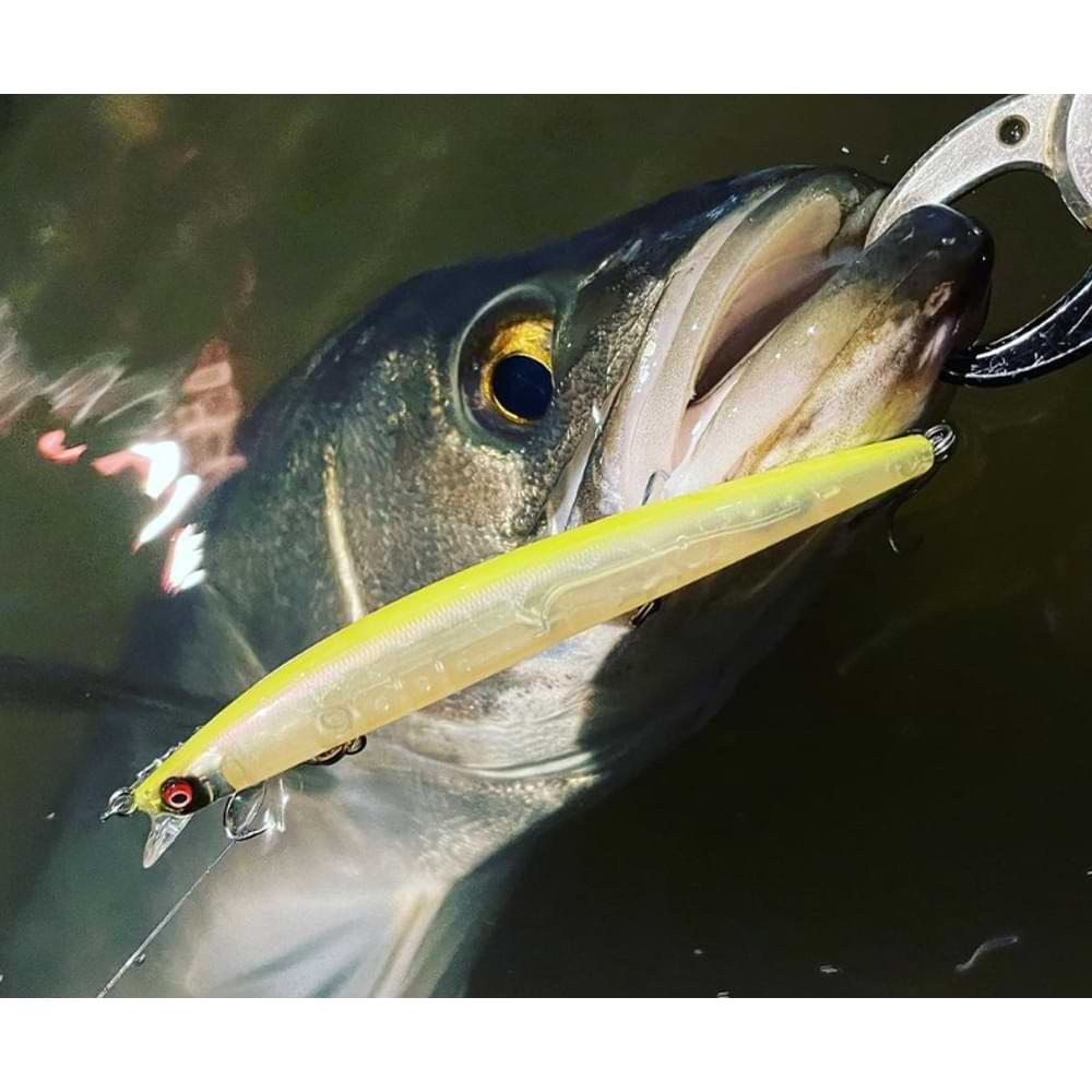 MEGABASS X-120 120mm 11.4g Slow Floating