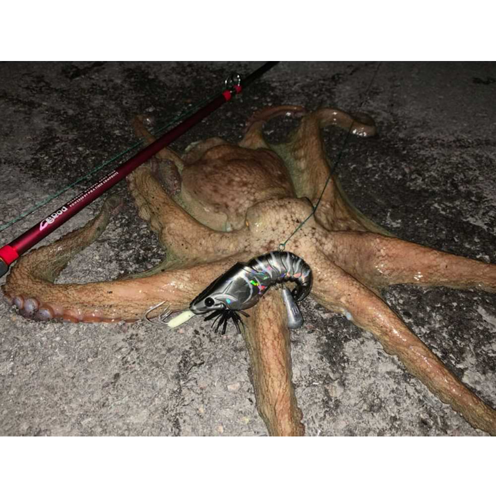 MEGABASS Taco-Le 80 80mm 40g Sinking