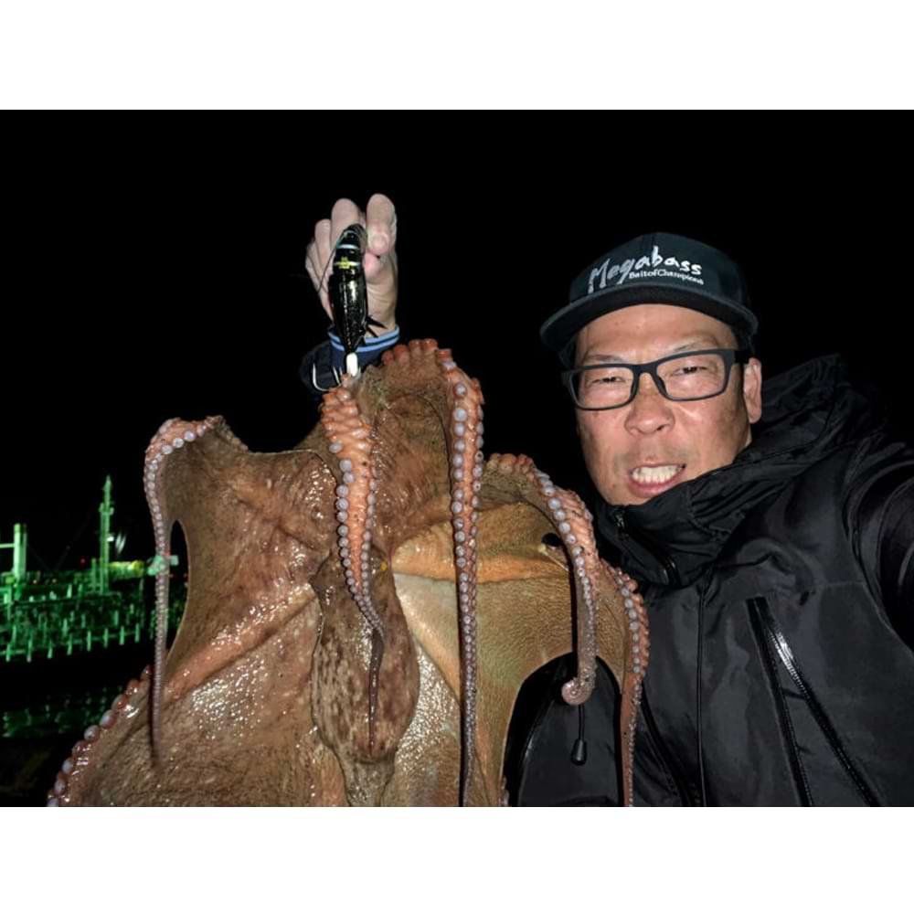 MEGABASS Taco-Le 80 80mm 40g Sinking