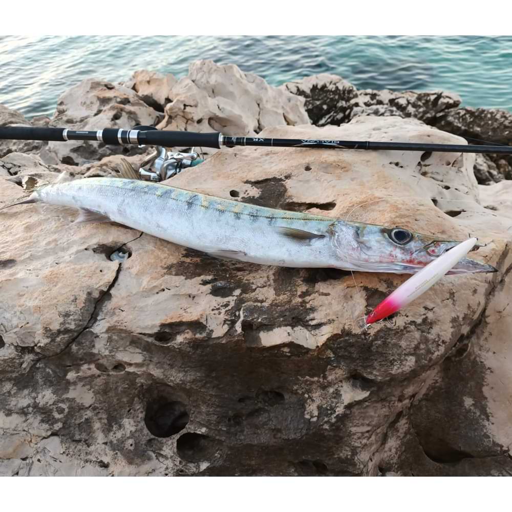 MEGABASS Marine Gang Cookai 140S 140mm 27g Sinking