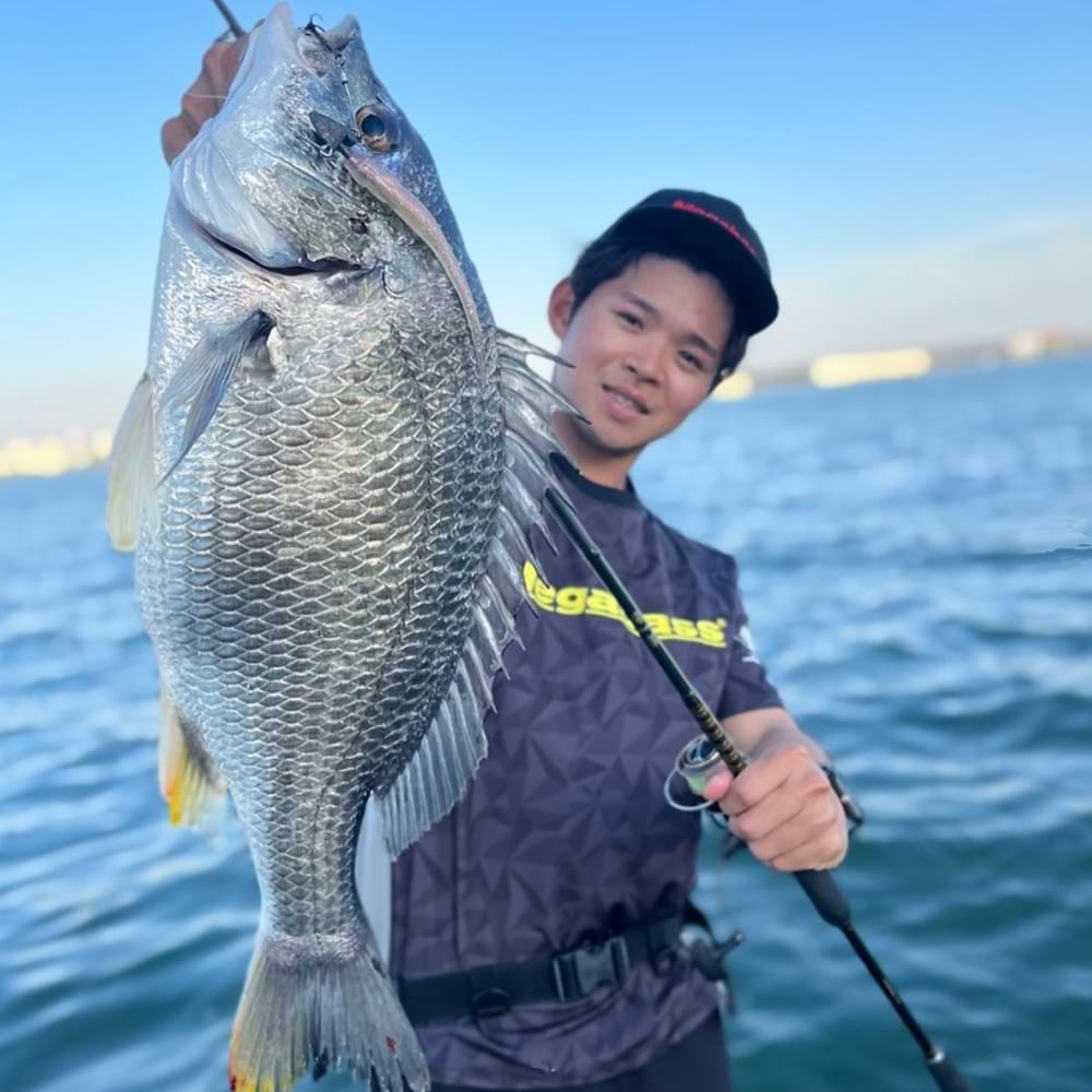 MEGABASS Hazedong 3inch 7.5cm