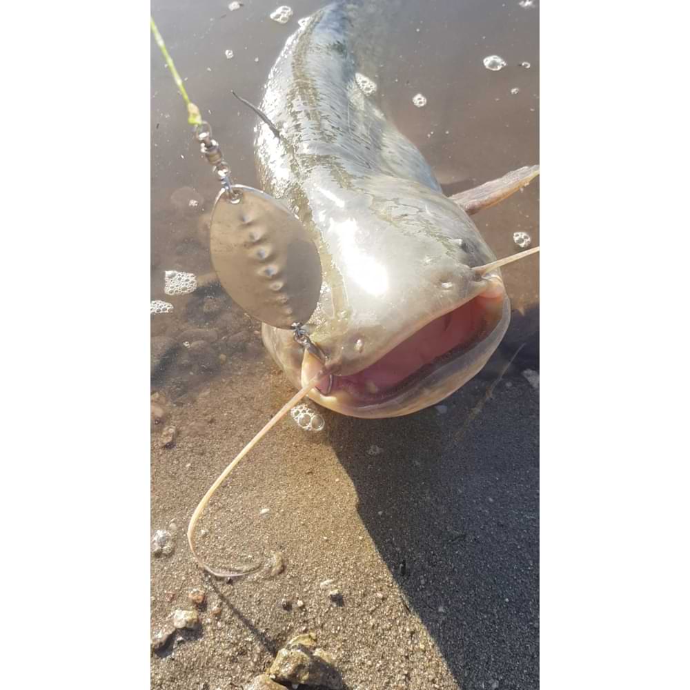 PETROV SPINNER Catfish - 30g