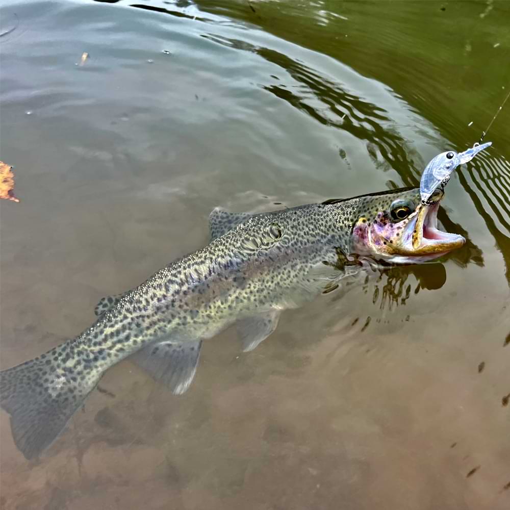 MUKAI MiniSpec 28mm 2.2g Floating