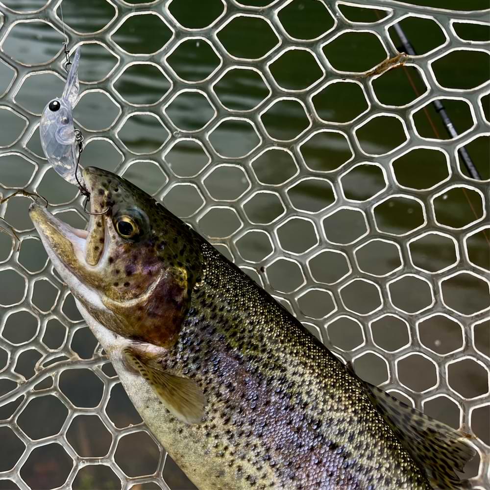 MUKAI MiniSpec 28mm 2.2g Floating