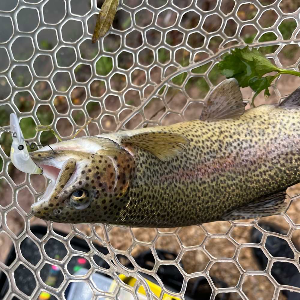 MUKAI Zanmu 28MR 28mm 1.5g Floating