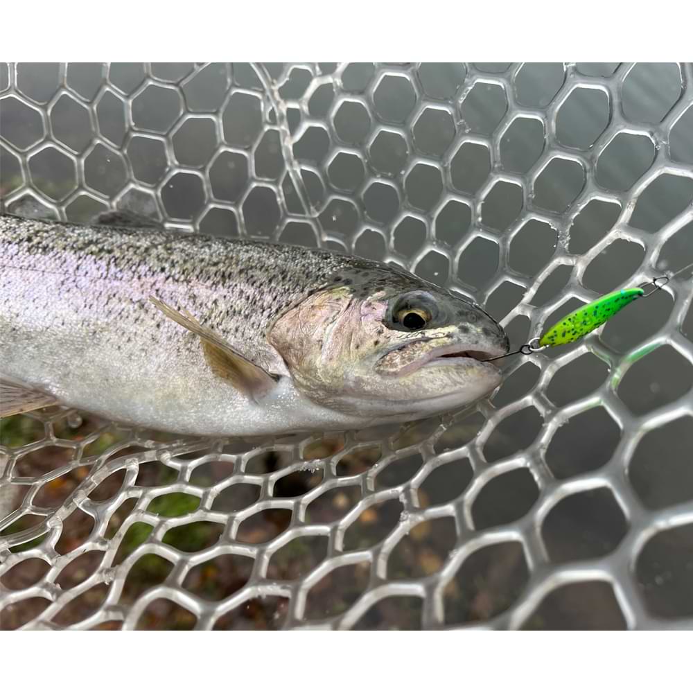 MUKAI Looper Plus 1.6g