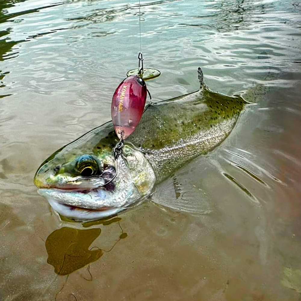 MUKAI Komaya 26F 26mm 2g Floating