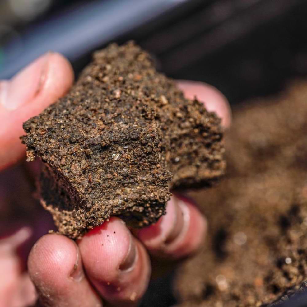 MAINLINE Pro Active All Round Cereal Groundbait 2kg