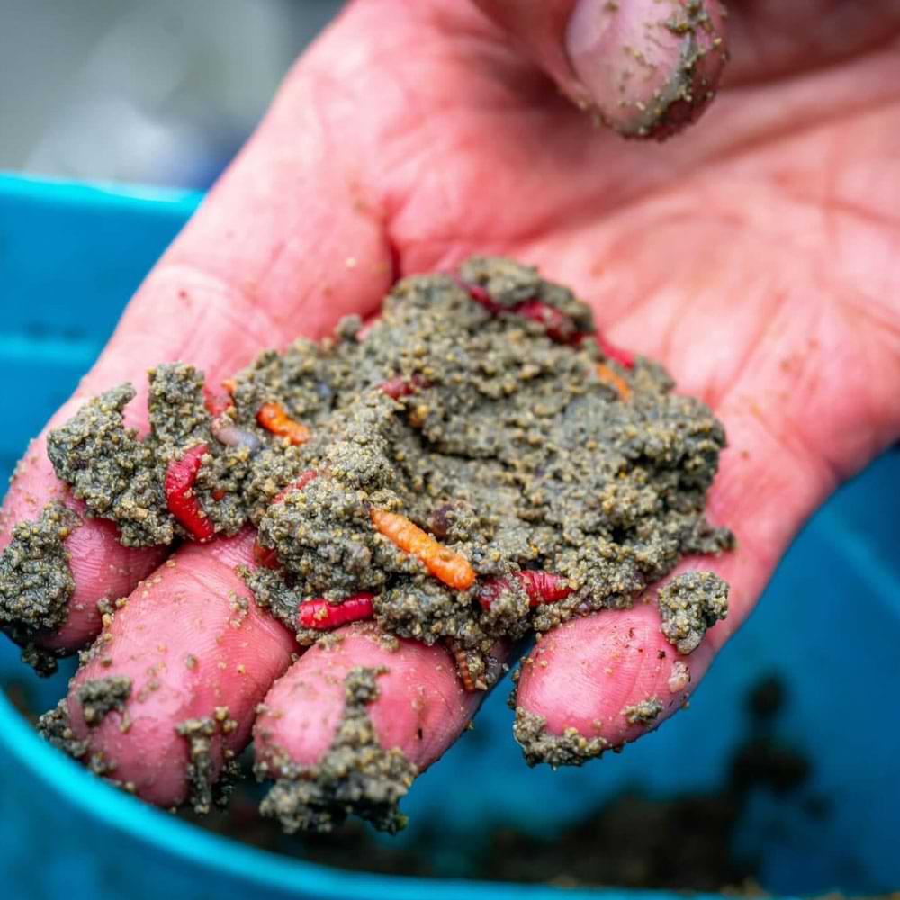 MAINLINE F1 Dark 1kg