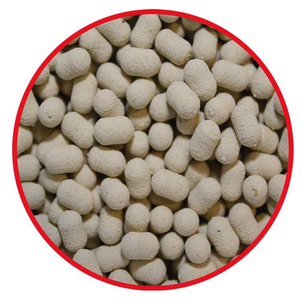 MatchPro Top Dumbells Pop Up 7mm 20g Garlic