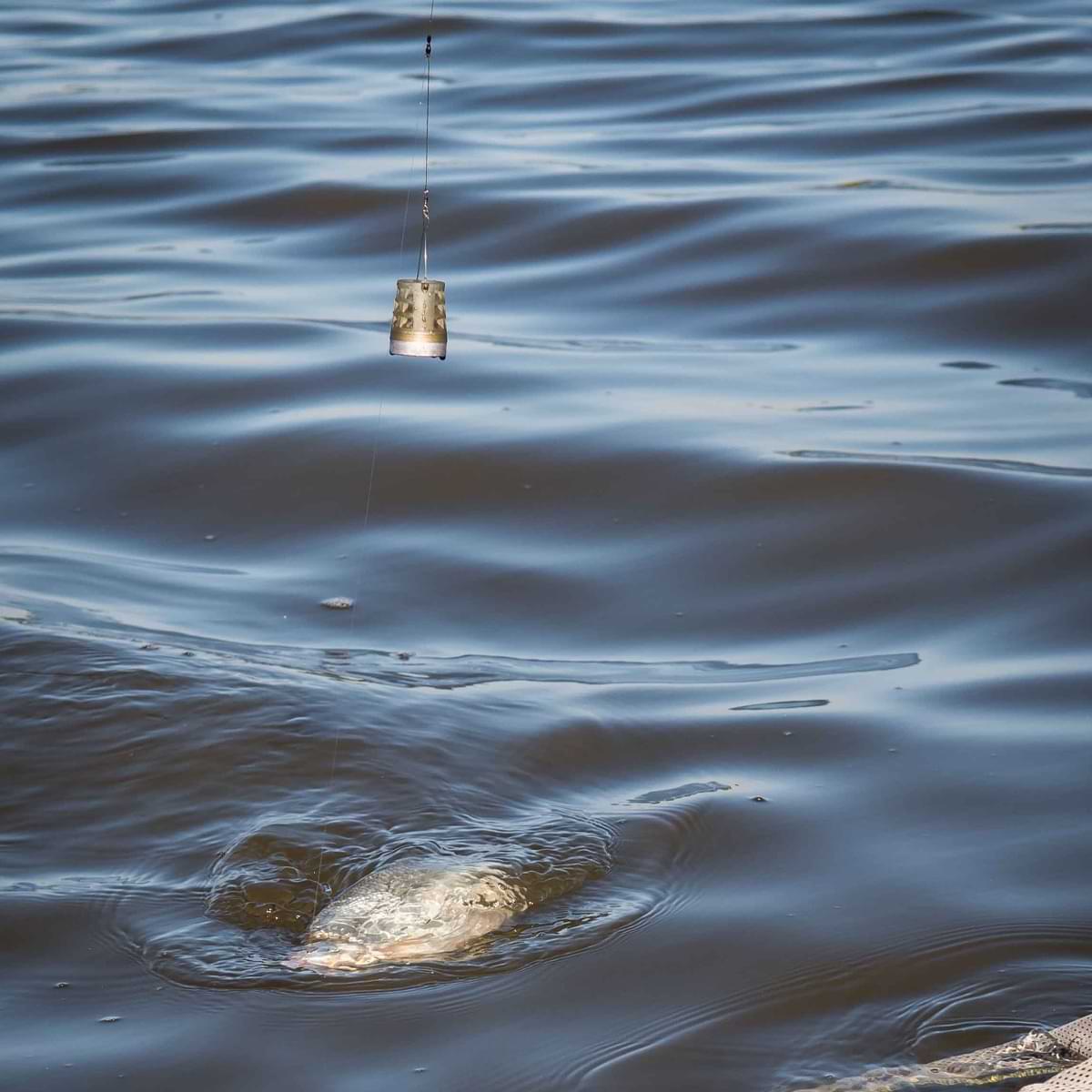 MATRIX Plastic Bottom Weighted Feeder XS